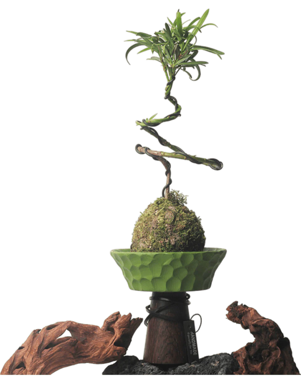 Nest Planter - Image 3