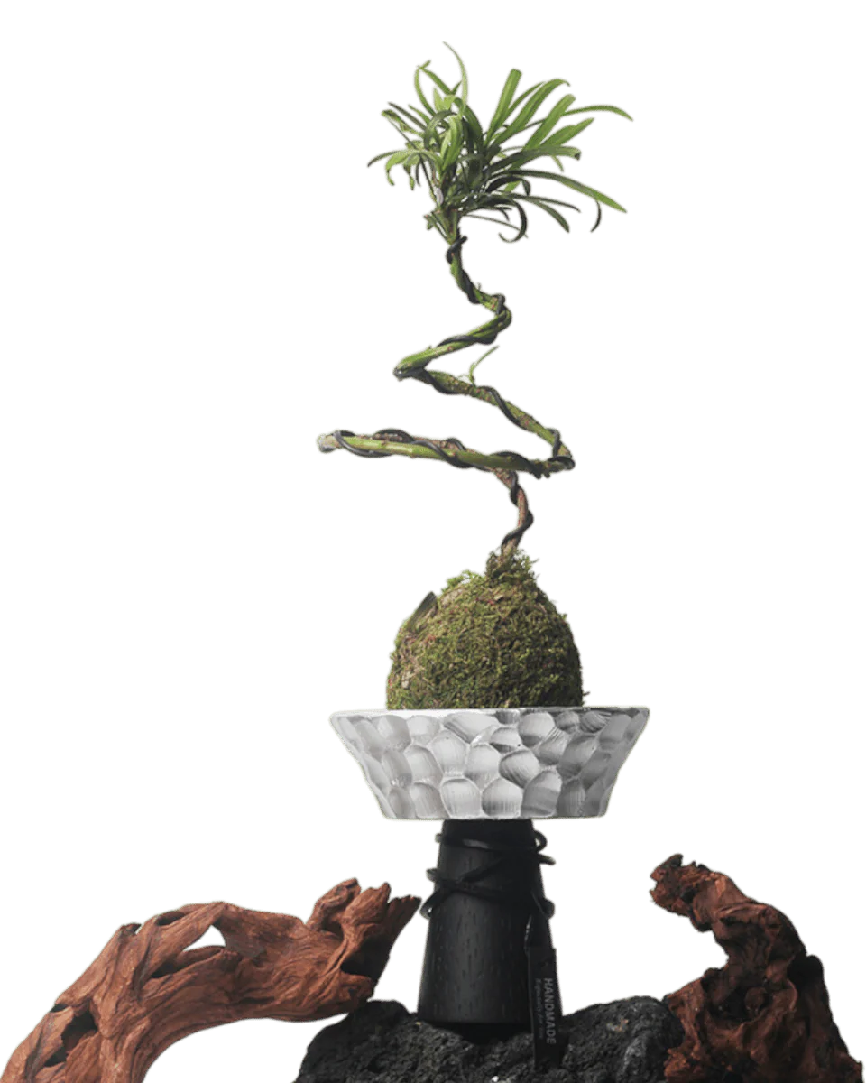 Nest Planter - Image 4