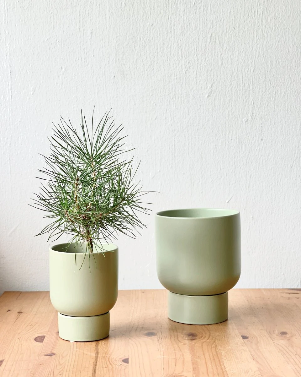 Nicole Ceramic Pot - Small - Image 5