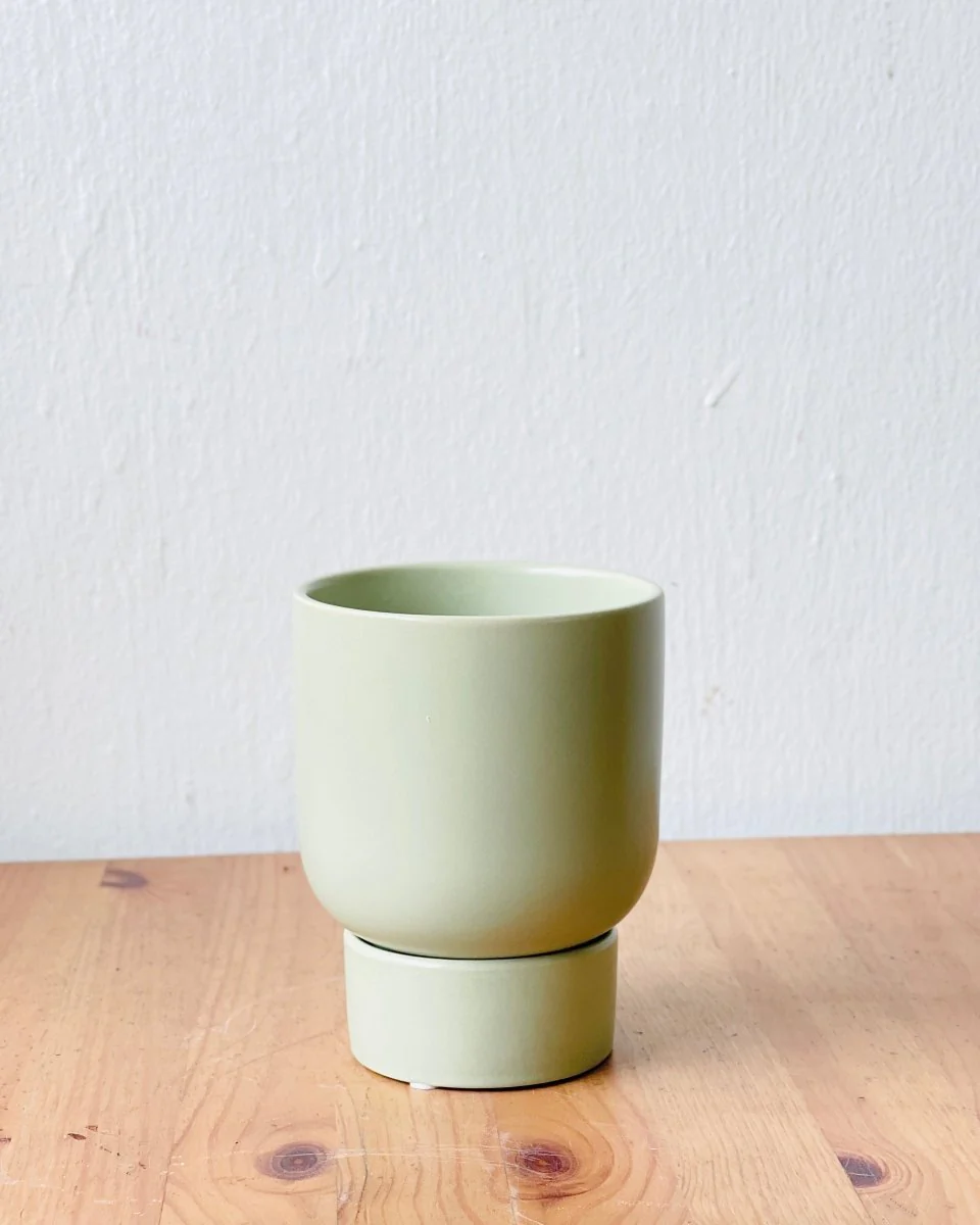 Nicole Ceramic Pot - Small - Image 9