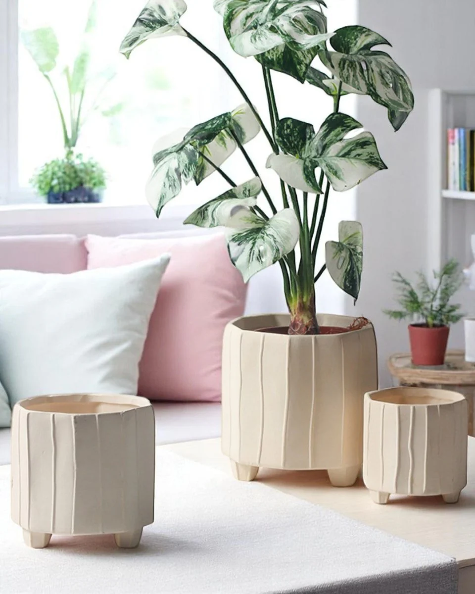 Noko Planter - Small - Image 4