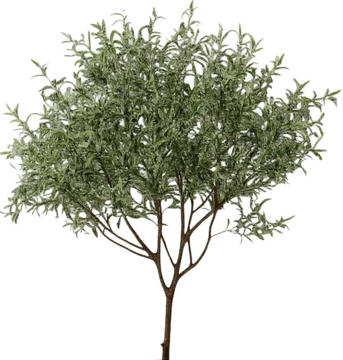 Olive Tree - Real-Trunk Artificial - Image 6
