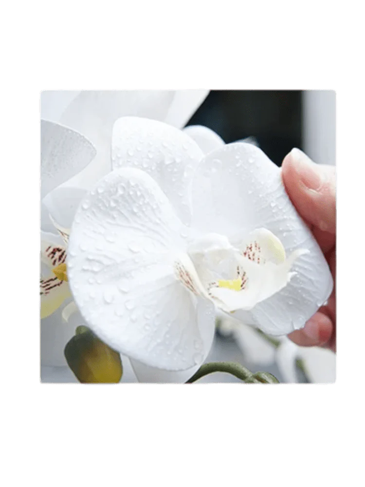 Phalaenopsis Charm - Lifelike Orchid Bloom Décor (Life-like Artificial) - Image 11