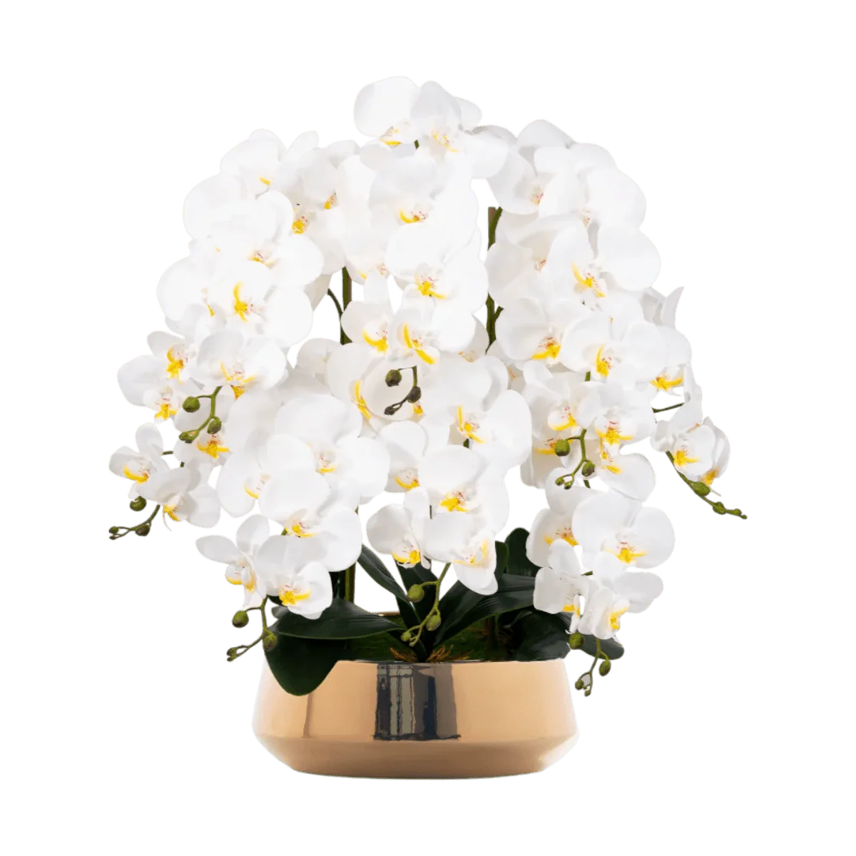 Phalaenopsis Charm - Lifelike Orchid Bloom Décor (Life-like Artificial) - Image 13