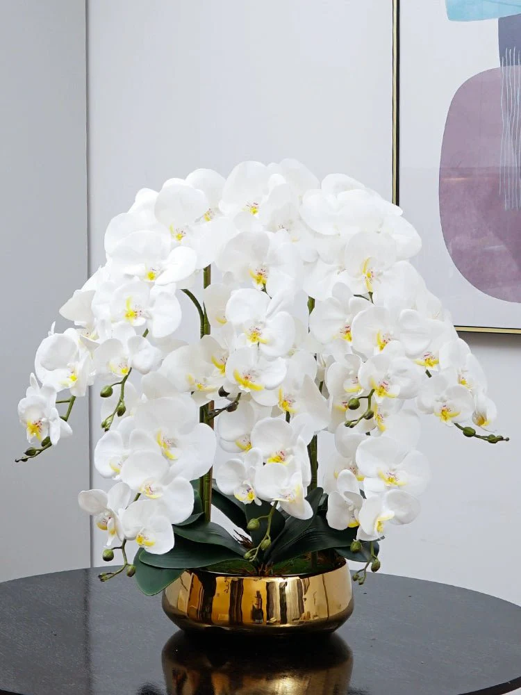 Phalaenopsis Charm - Lifelike Orchid Bloom Décor (Life-like Artificial) - Image 4