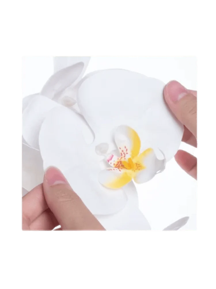 Phalaenopsis Charm - Lifelike Orchid Bloom Décor (Life-like Artificial) - Image 5
