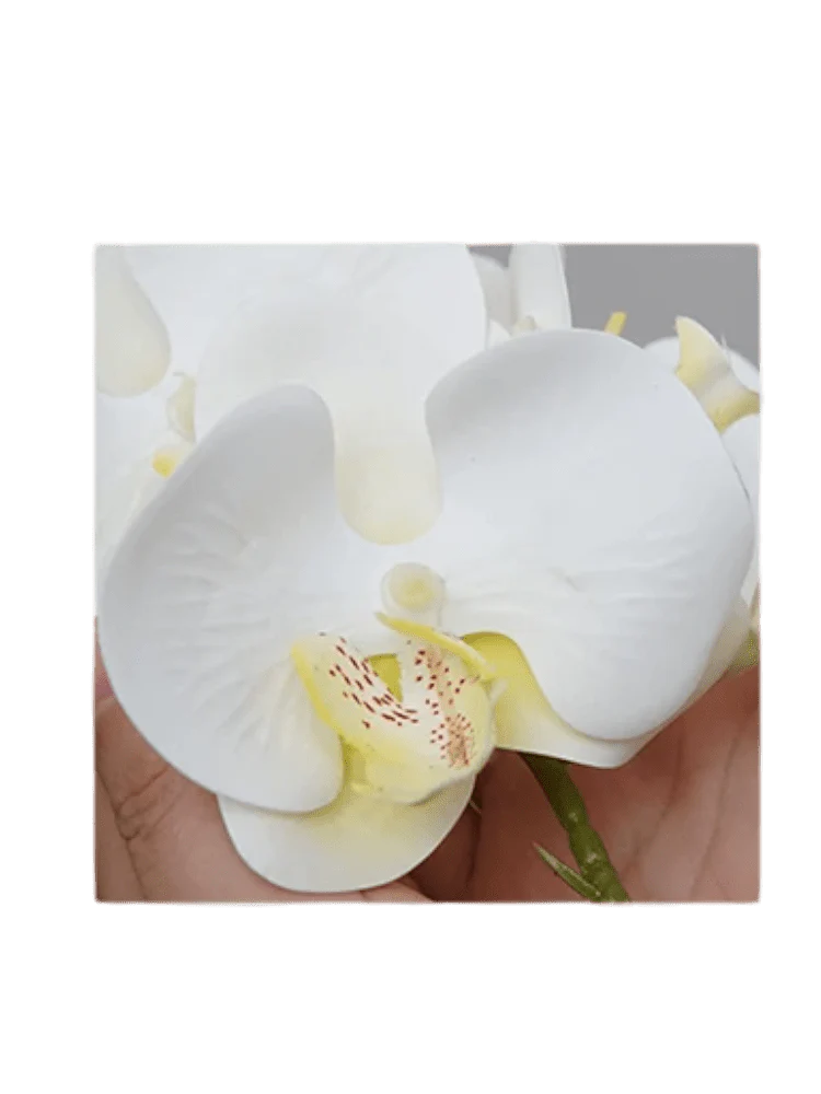 Phalaenopsis Charm - Lifelike Orchid Bloom Décor (Life-like Artificial) - Image 6