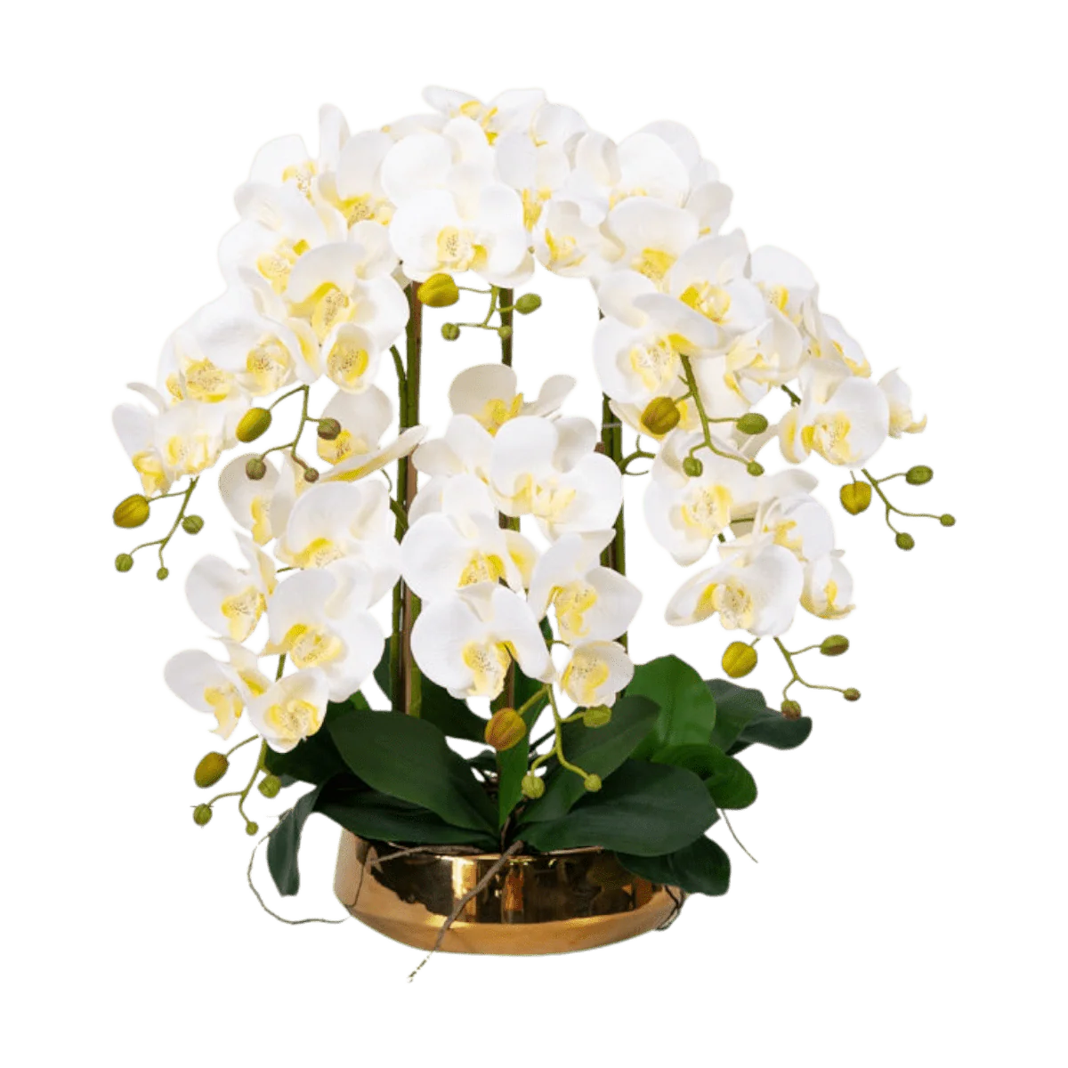 Phalaenopsis Charm - Lifelike Orchid Bloom Décor (Life-like Artificial) - Image 7