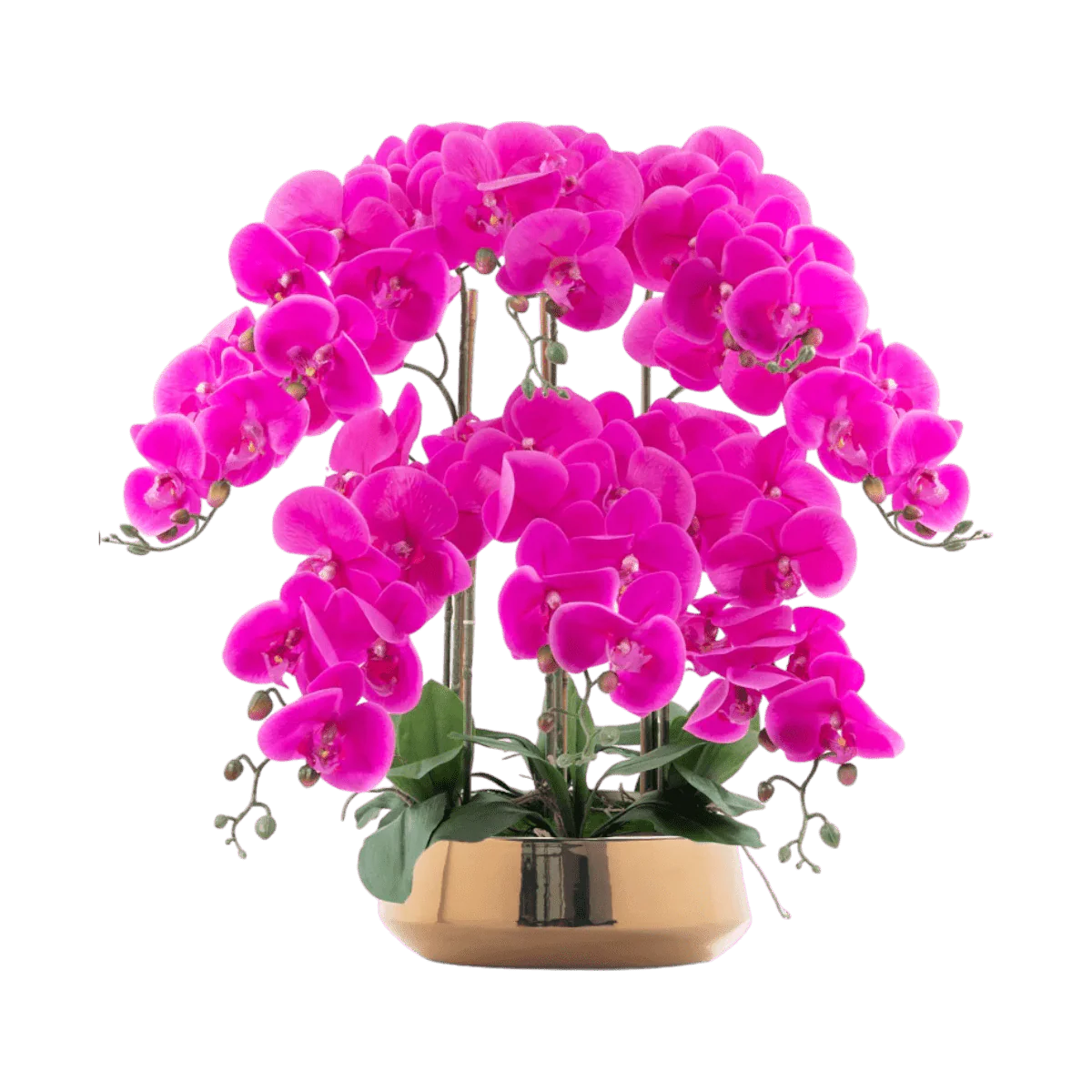 Phalaenopsis Charm - Lifelike Orchid Bloom Décor (Life-like Artificial) - Image 8