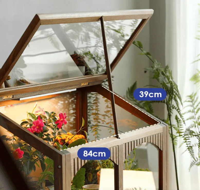 Plant Cabinet - Image 6