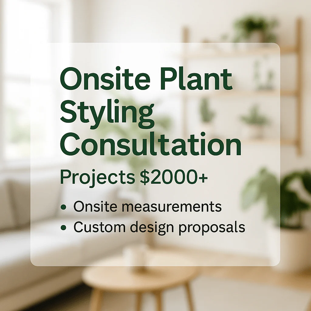 Plant Styling Consultation - Image 2