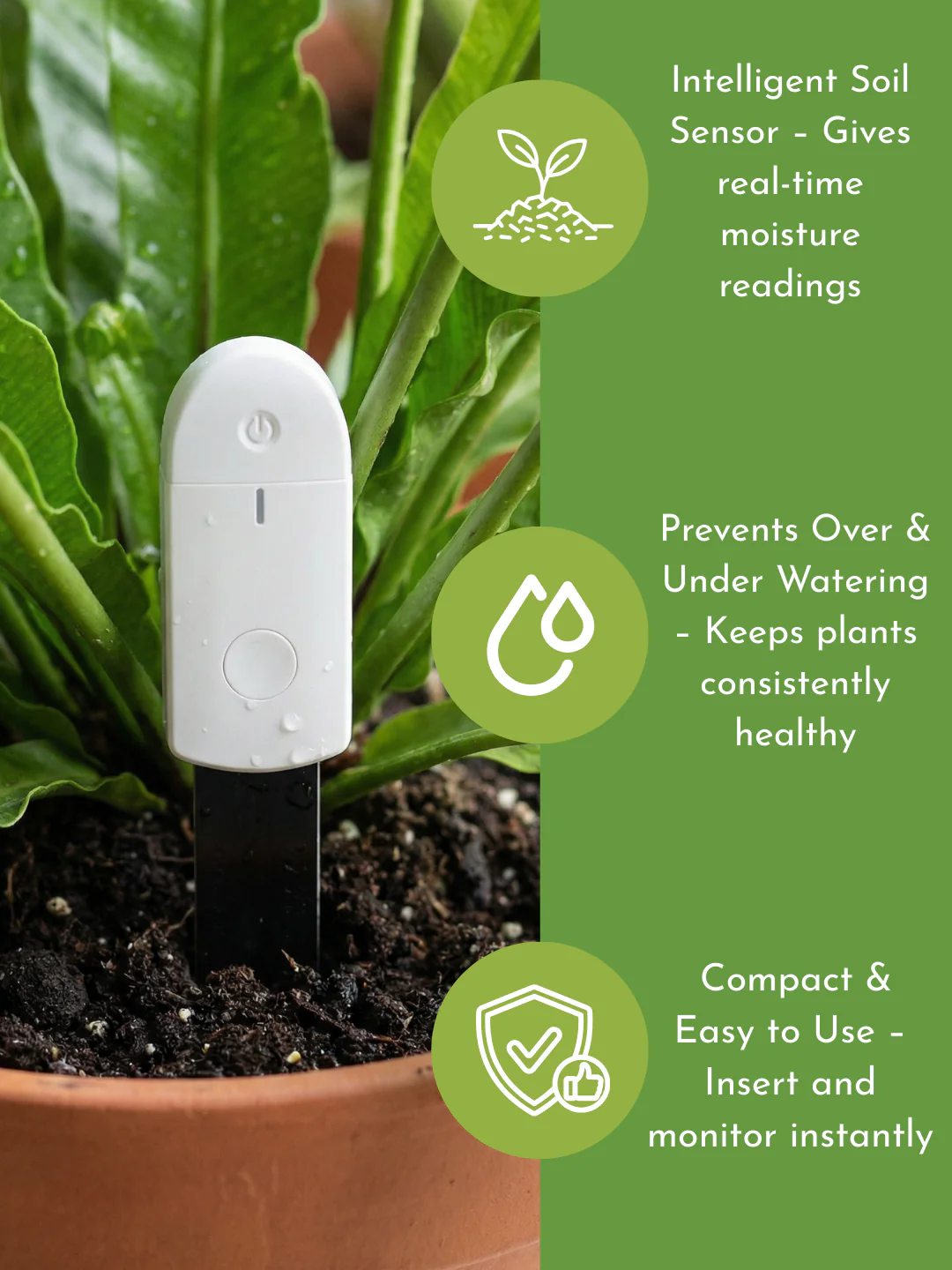 PlantPulse Watering Meter - Image 2
