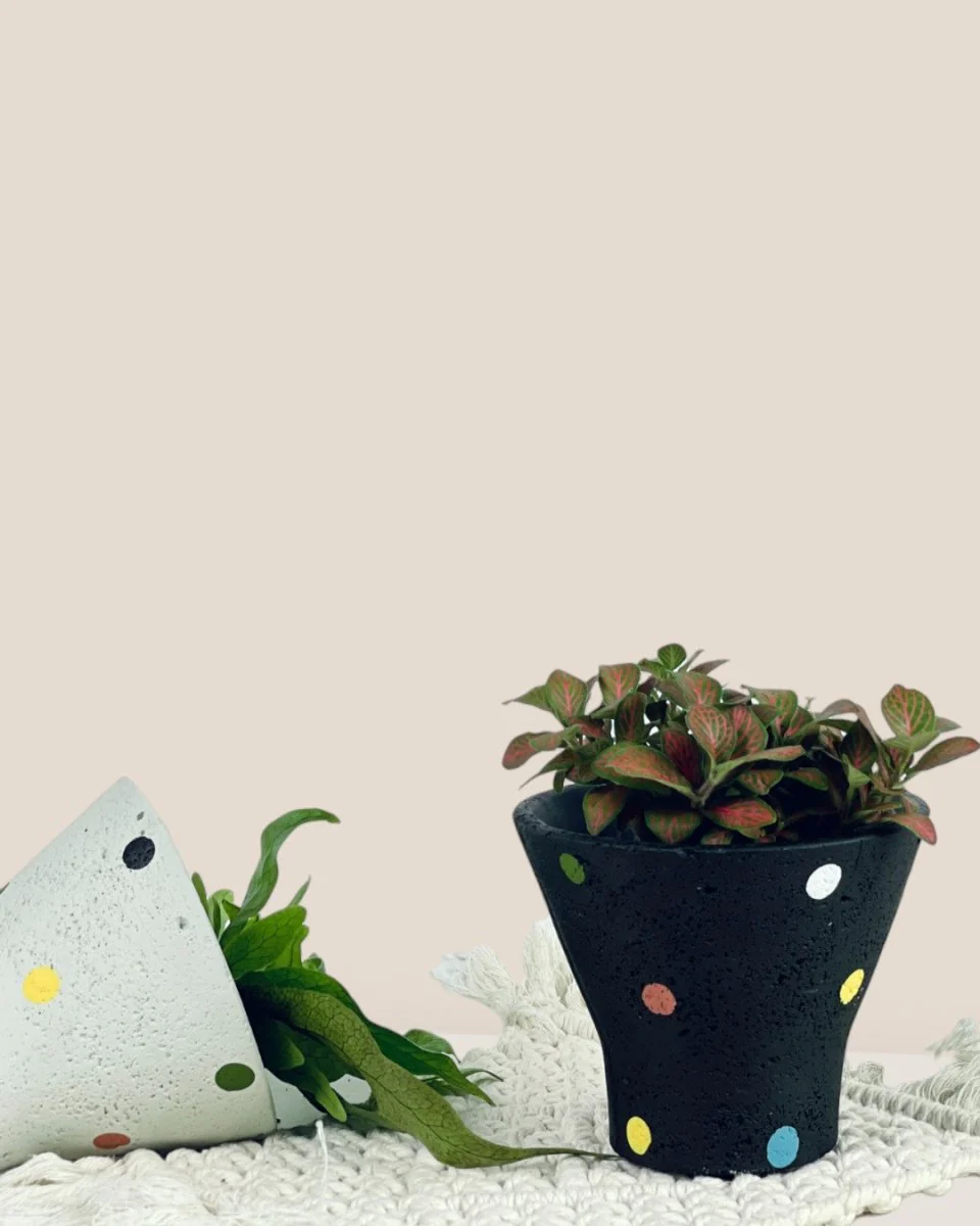 Polka Pots - Image 6