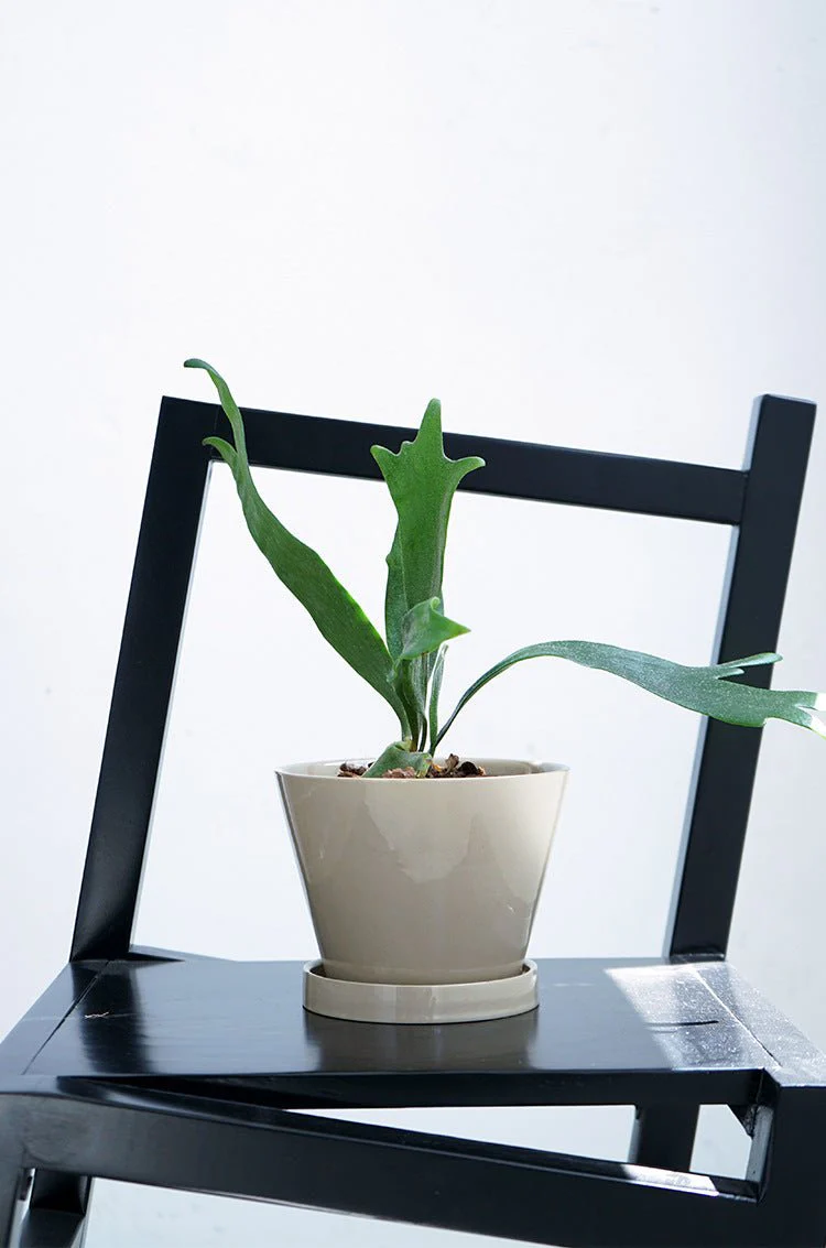 Retro Glazed Planter - Image 7
