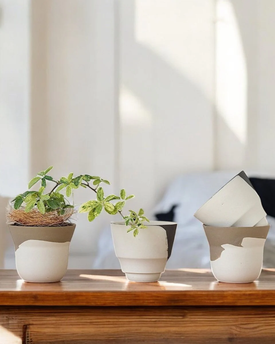 Ripple Cup Planter Mini - Image 3