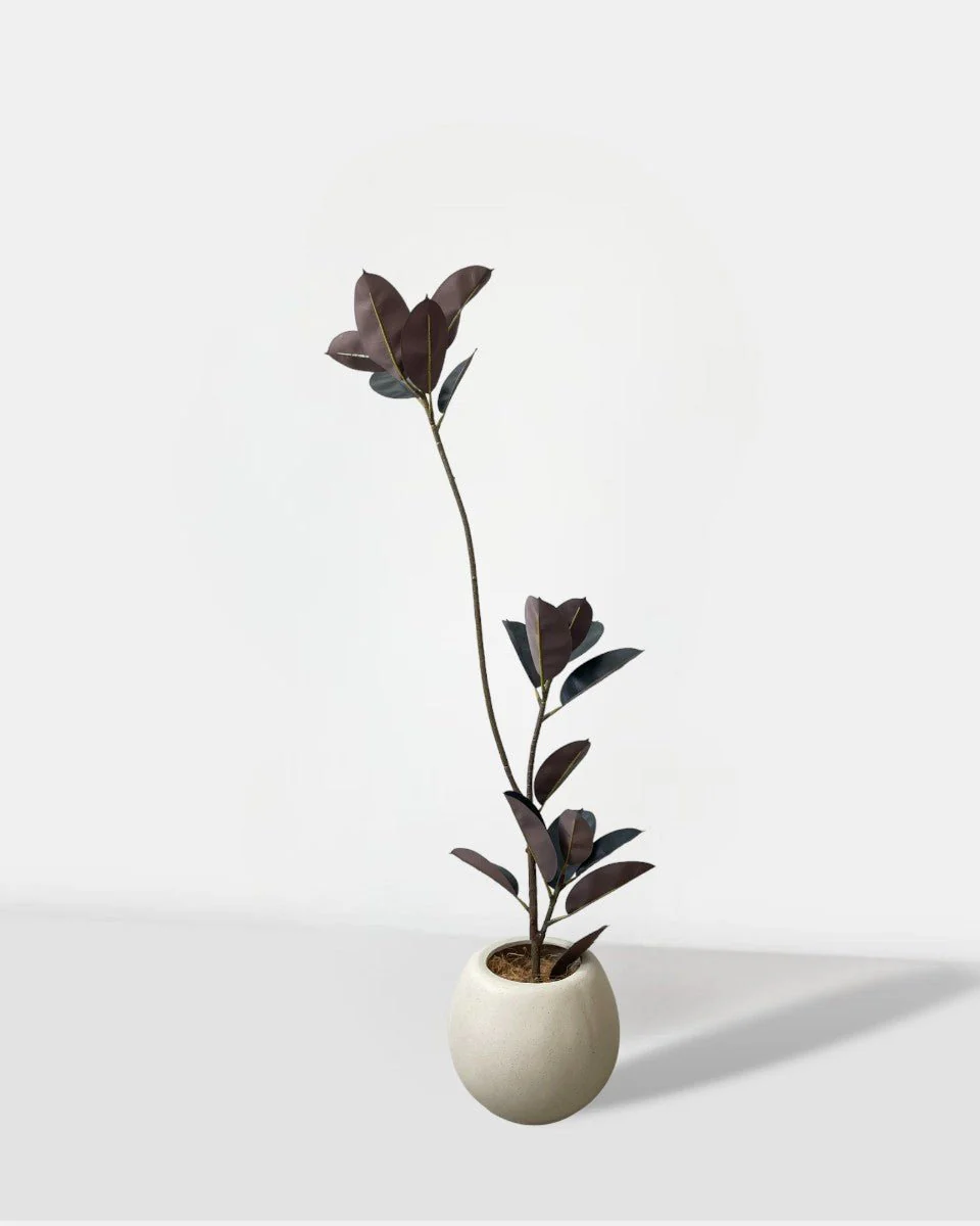 Rubber Tree 1.4m (Life-like Artificial) - Image 8