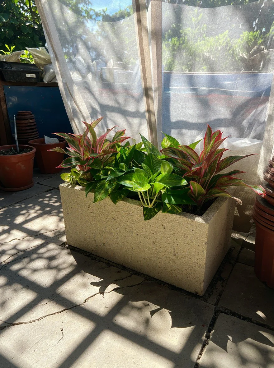 Second Chance: Songa planter box with plants - Image 3