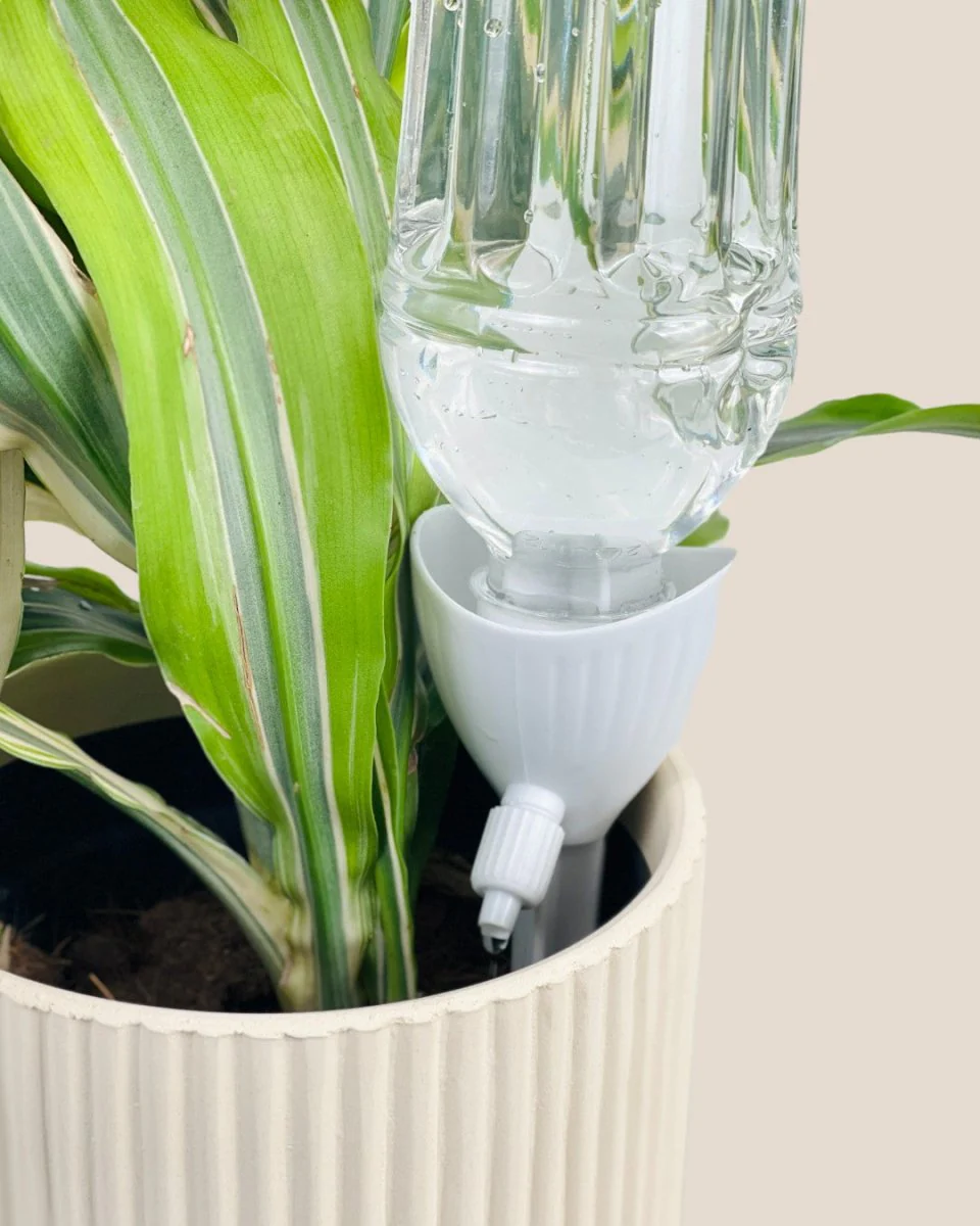 Self Watering Dripper - Image 7