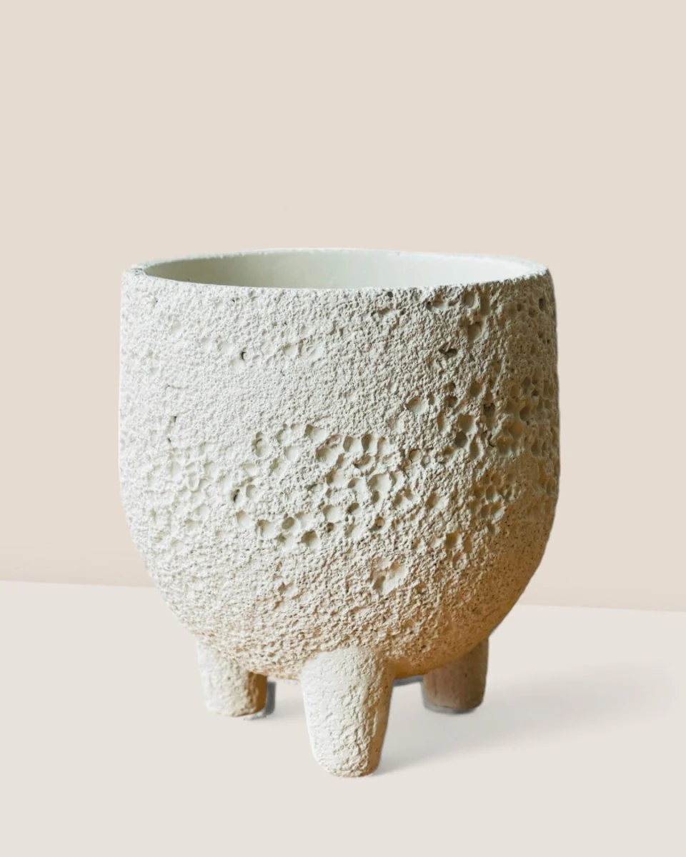 Anya Cement Pot - Small - Image 13