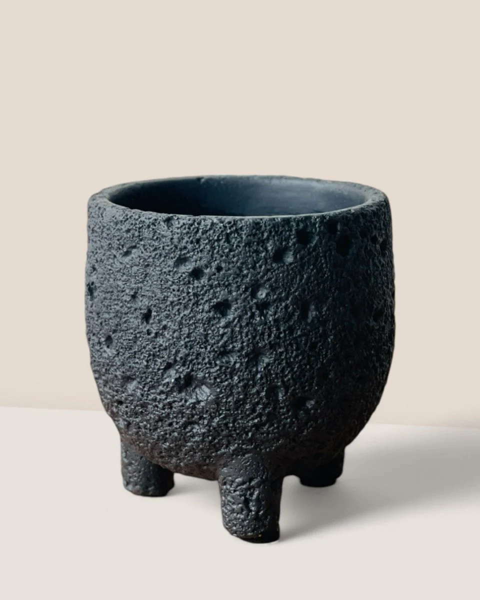 Anya Cement Pot - Small - Image 9