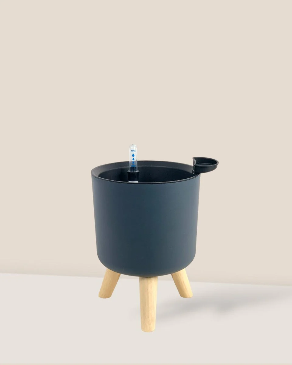 Self Watering Pot with Stand - Small - Image 10