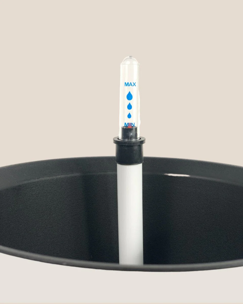 Self Watering Pot with Stand - Small - Image 6