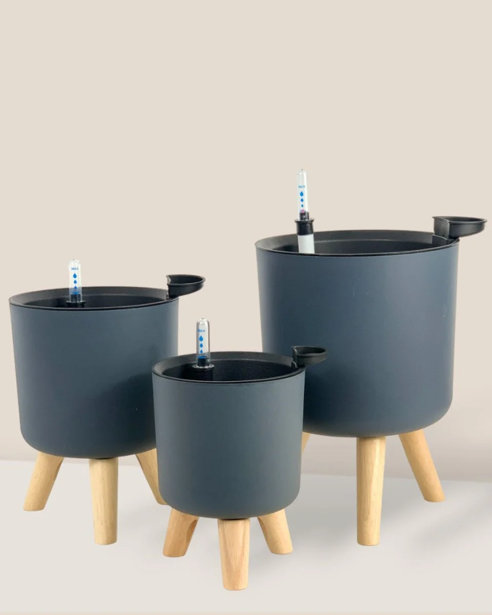 Self Watering Pot with Stand - Small - Image 8