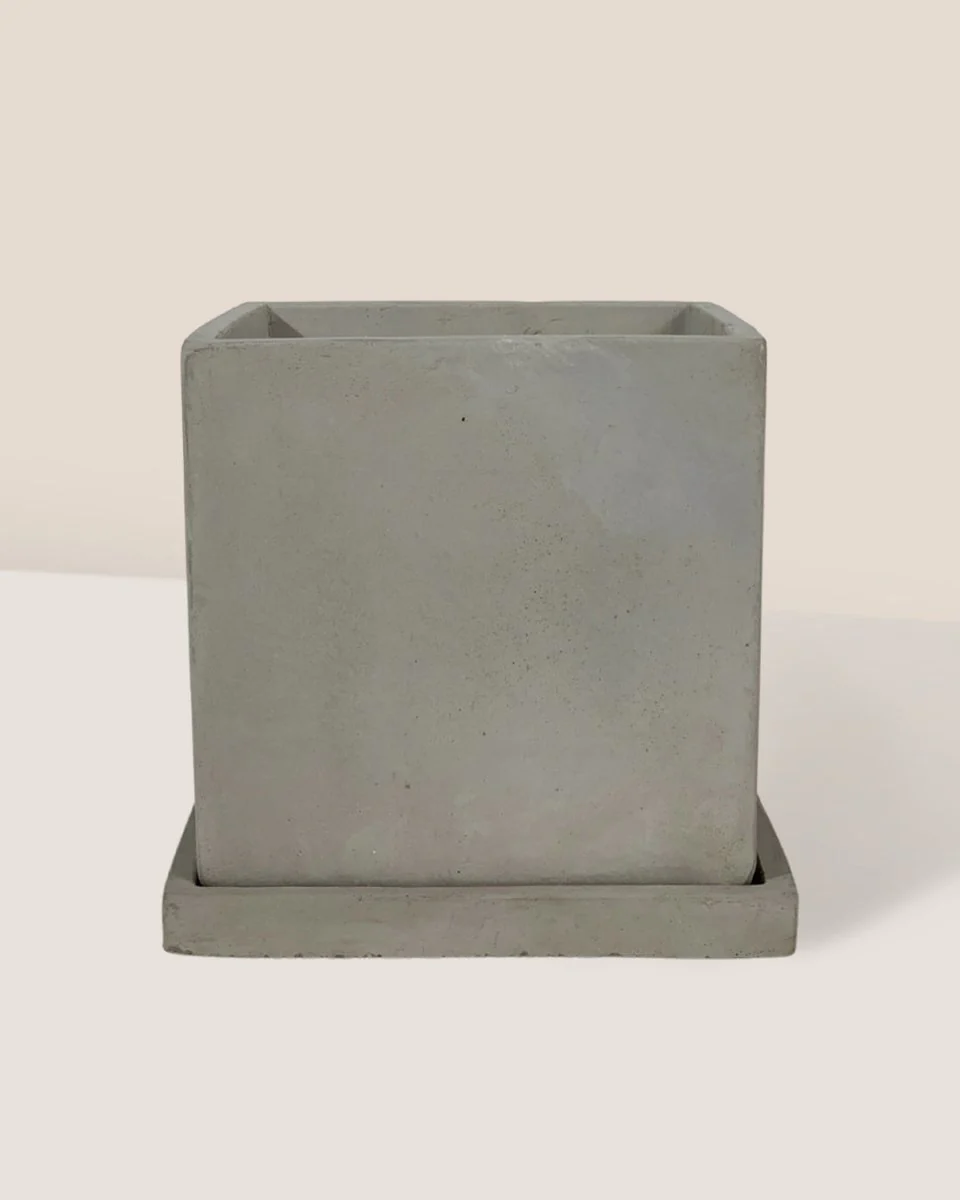 Smoffy Cement Planter - Small - Image 3