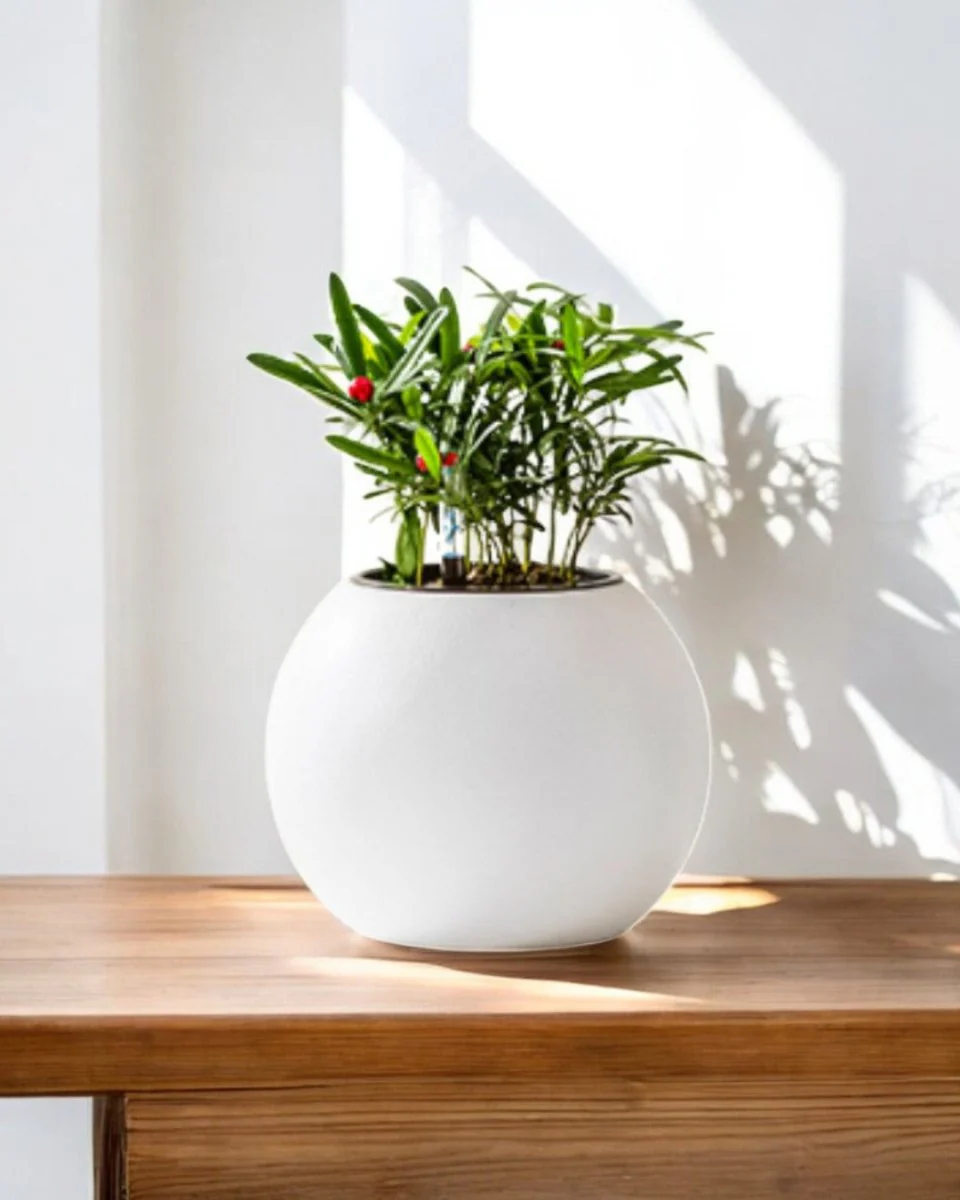 Sphere HydroEase Self Watering Pot - Small - Image 2
