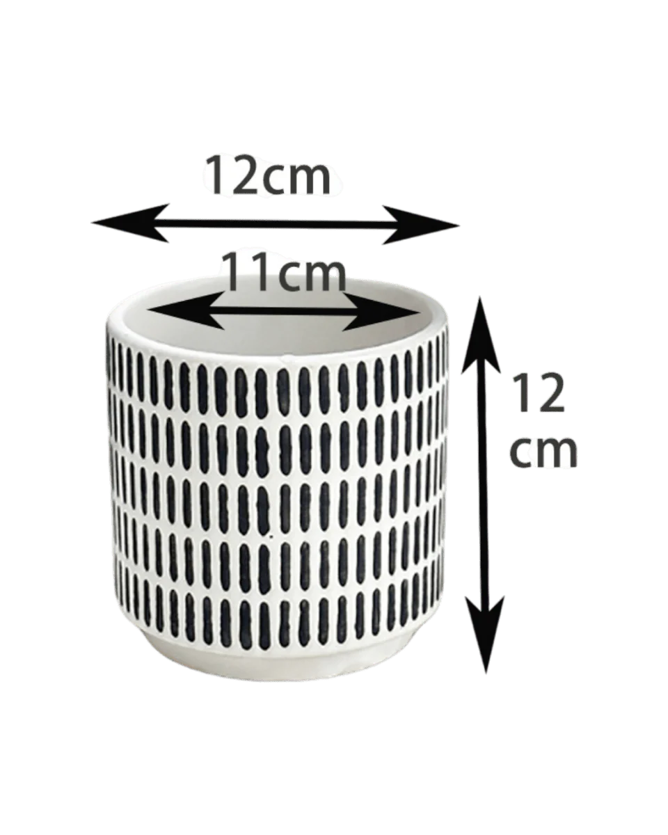 Stripe Pocky Planter - Image 6