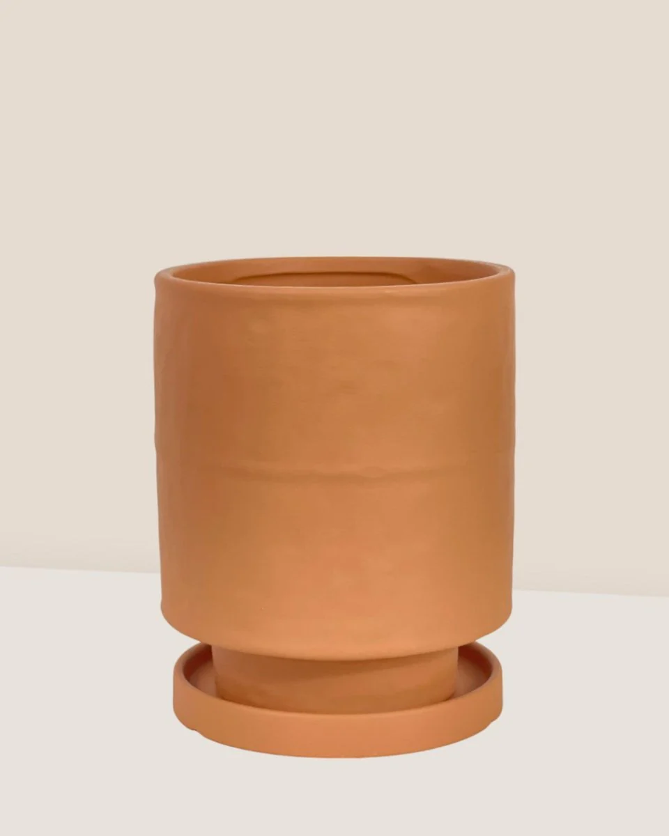 Tall Small Astra Pot - Image 20