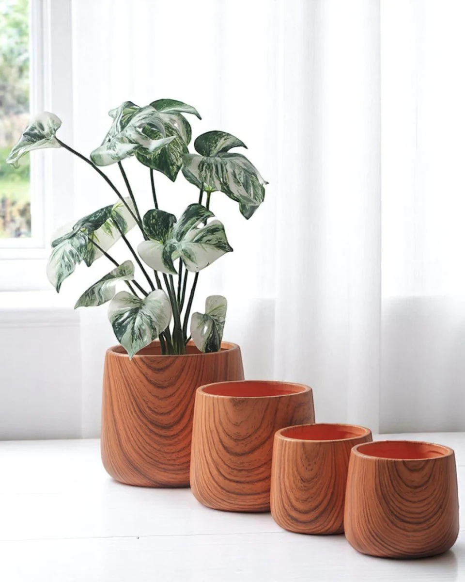 Tulip Wood Pots- Medium
