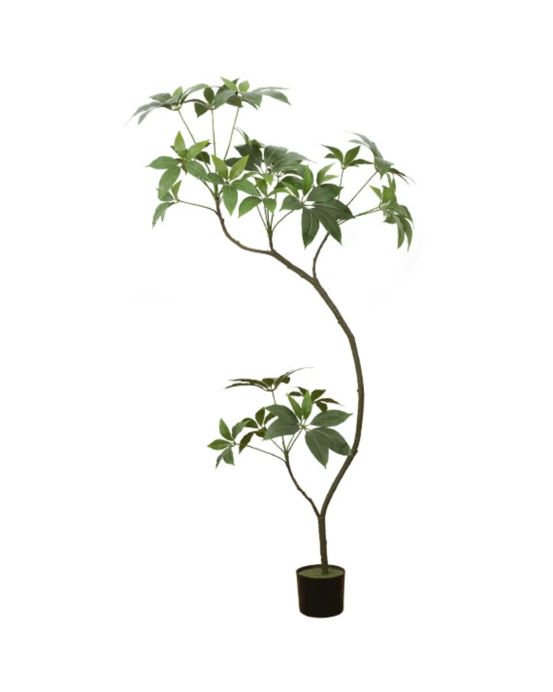 Umbrella Plant (Life-like Artificial) - Image 5