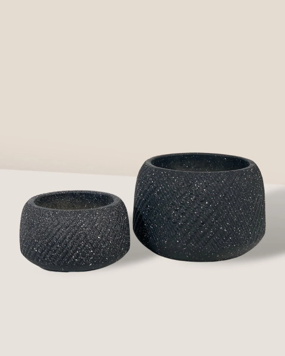 Vanga Ceramic Planter - Image 2