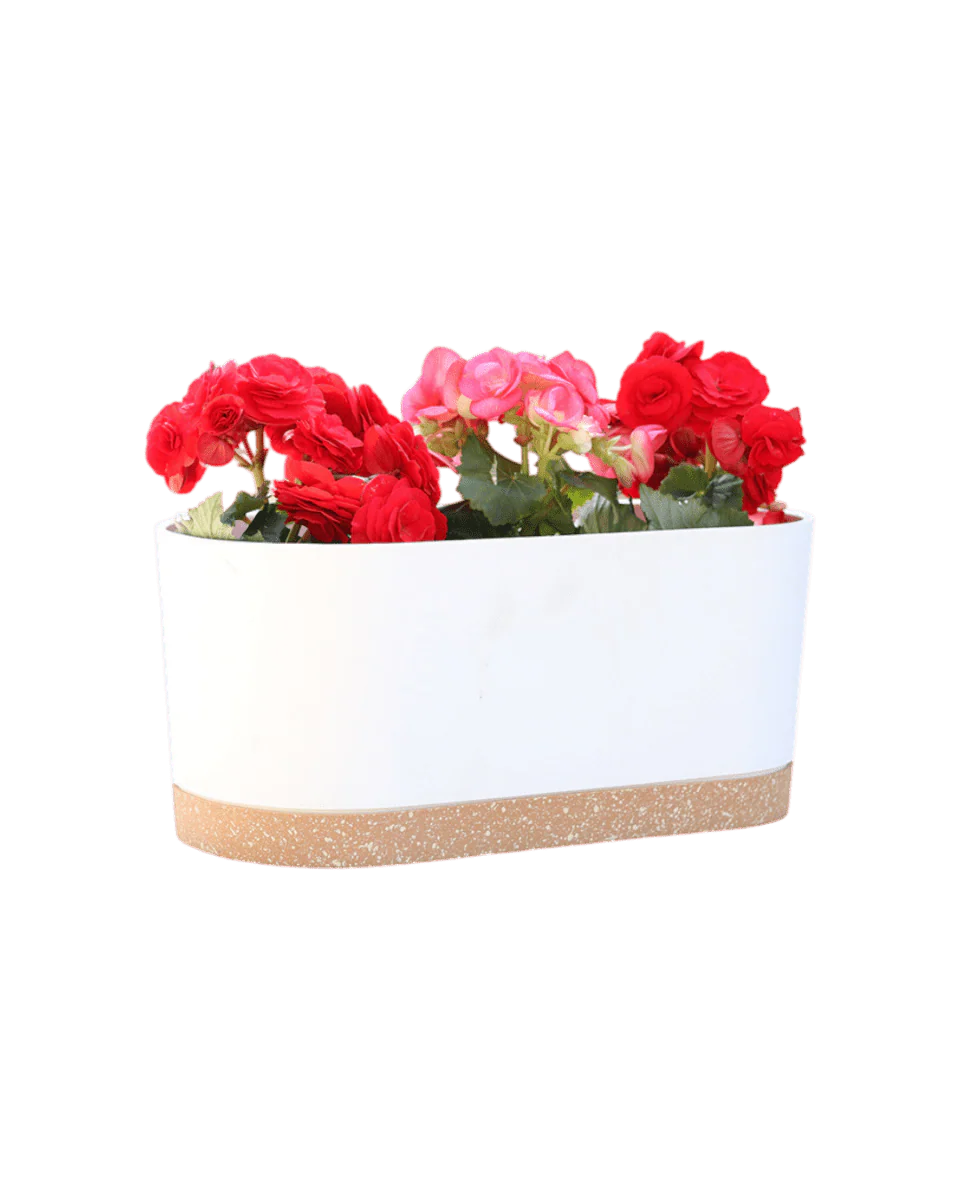 Verdant Rectangle Planter - Image 8
