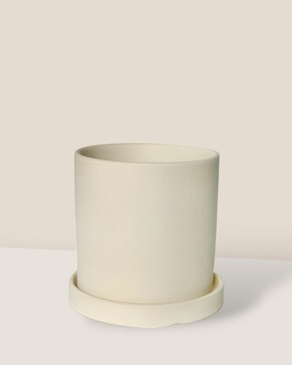 White Flour Planter - Image 6