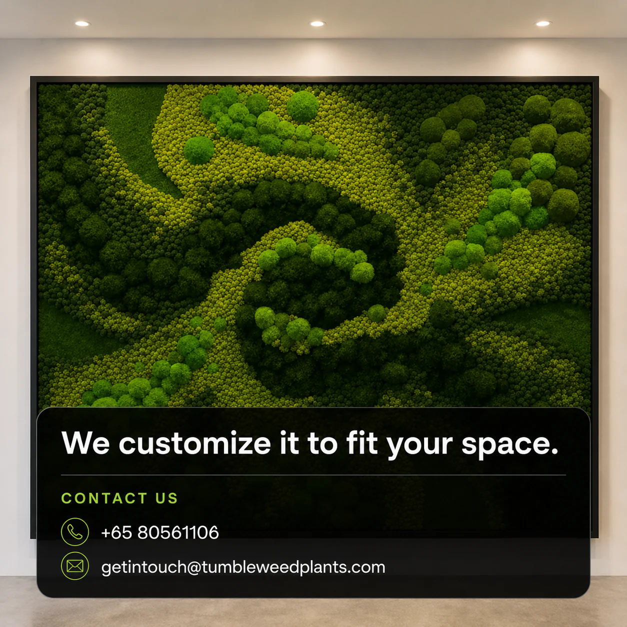 XL Frame - Preserved Plants: MOSS. - Image 22